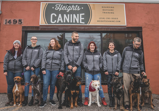 Heights Canine - Image 1