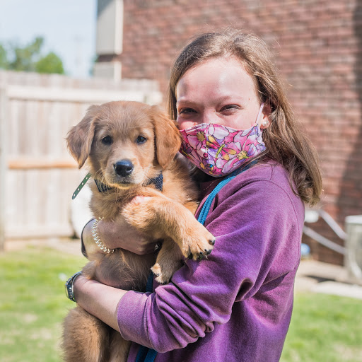 The Pet Hospitals Collierville - Image 1