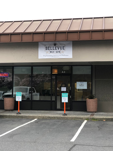 Bellevue Pet Spa - Image 1