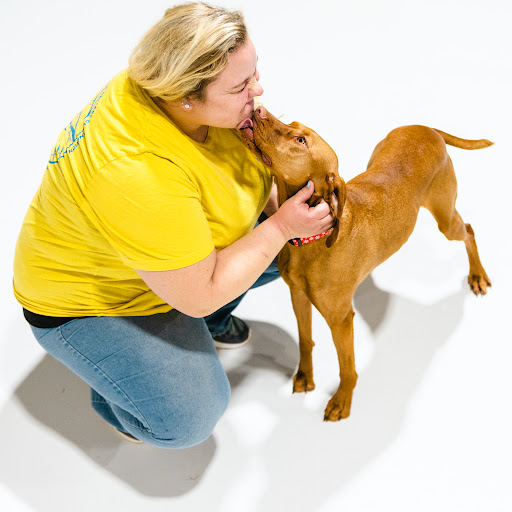 BarkBound Daycare & Boarding - Image 1