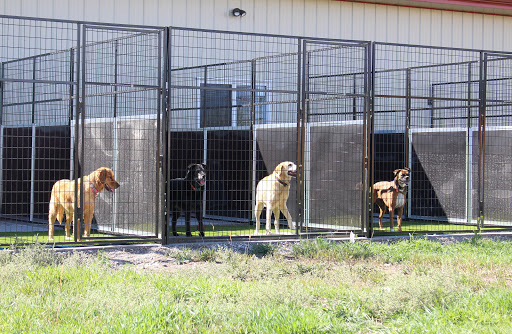 Amazing Acres Pet Resort - Image 1