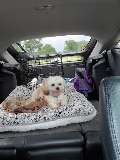 Bubbles & Barks Grooming and Boarding - Image 1