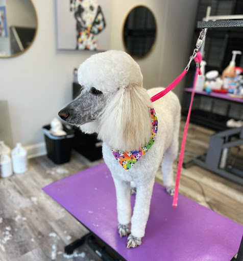 Floofs N’ Poofs Dog Grooming - Image 1