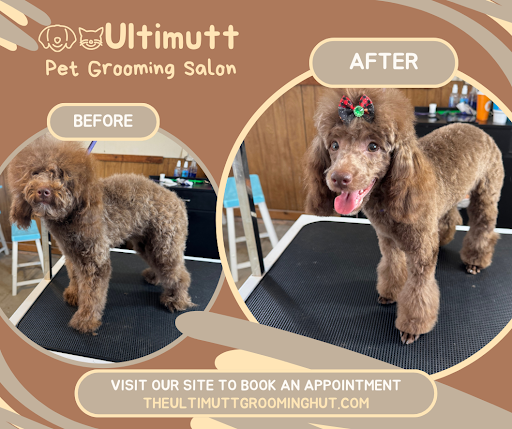 The Ultimutt Grooming Hut - Image 1