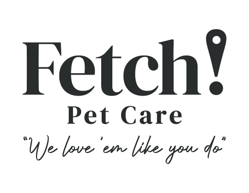 Fetch! Pet Care serving Bethesda and Silver Spring - Image 1