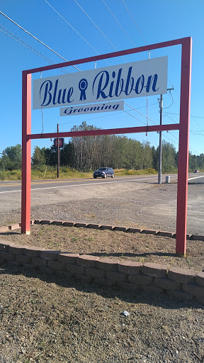 Blue Ribbon Grooming - Image 1