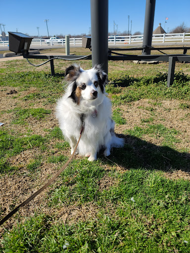 Scott's Dog House - Image 1