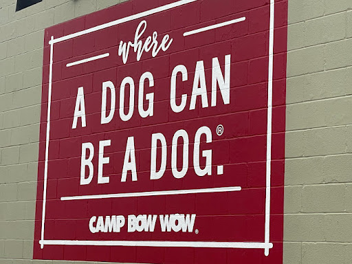 Camp Bow Wow - Image 1