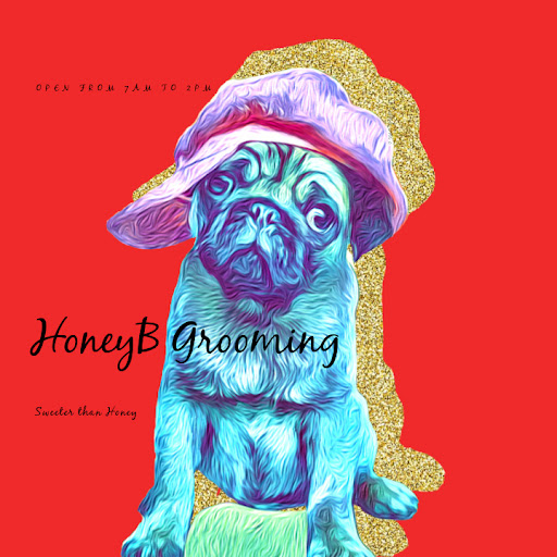 Honey B's Pet Grooming and Boarding - Image 1