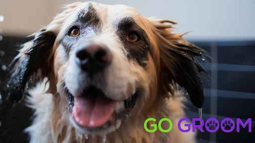 Go Groom Mobile Pet Grooming - Image 1