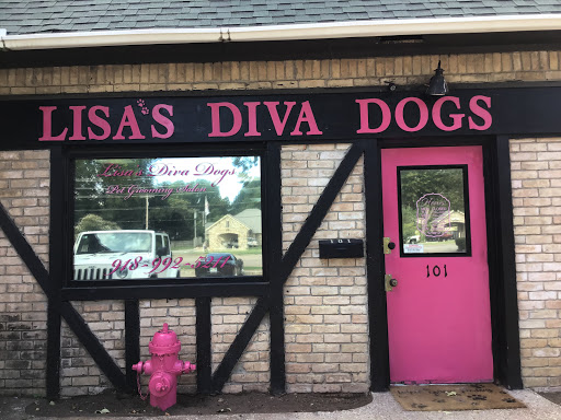 Lisa’s diva dogs - Image 1