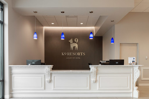 K9 Resorts Luxury Pet Hotel Stamford - Image 1