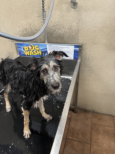 Chimney Hills Dog Wash - Image 1